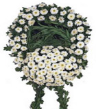Beyaz �i�eklerden olu�an cenaze �i�e�i 